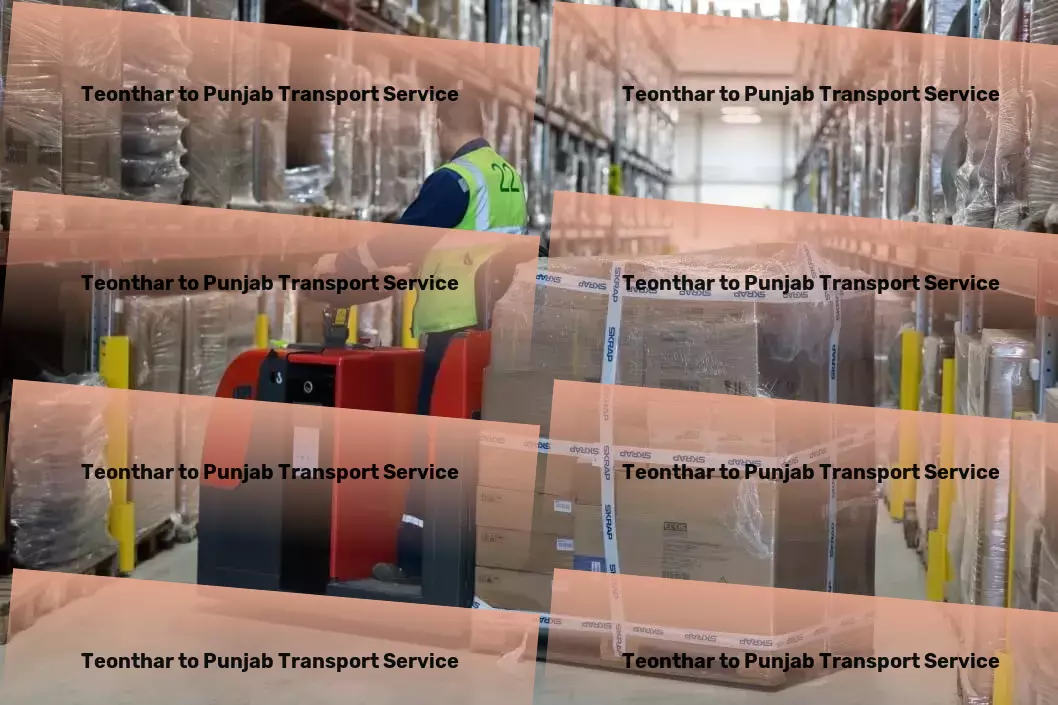 Teonthar to Punjab Transport Local goods forwarding services