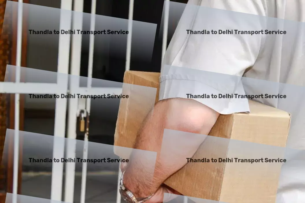 Thandla to Delhi Transport Heavy parcel delivery