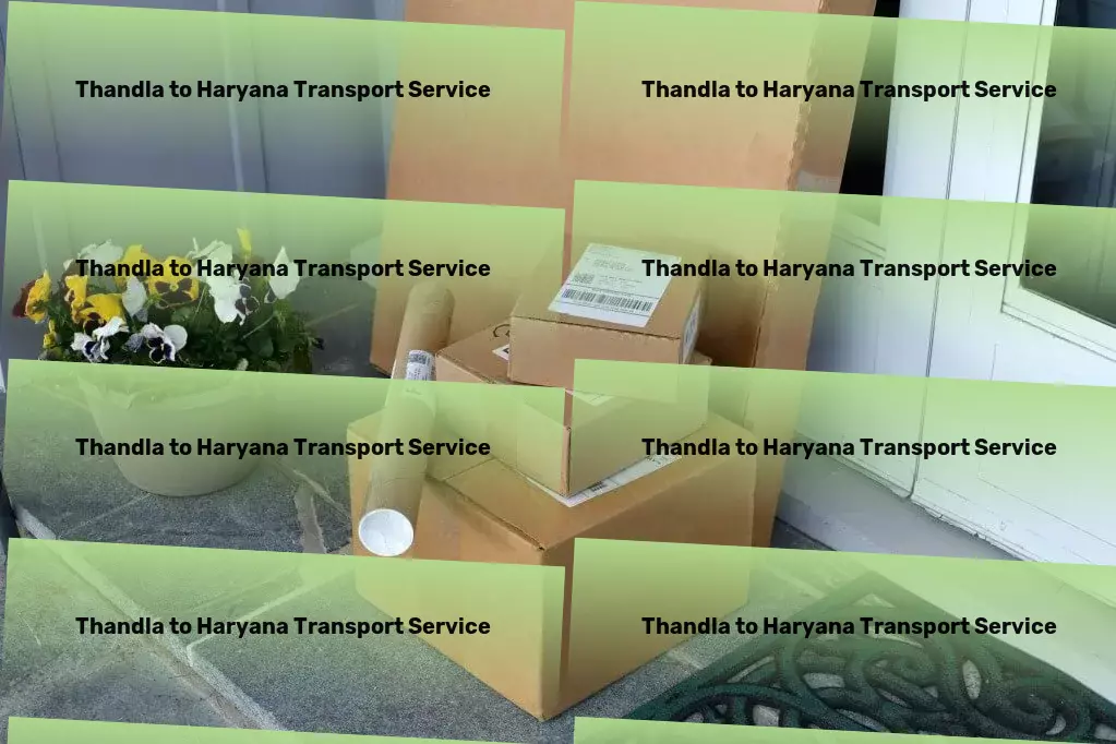 Thandla to Haryana Transport Pharmaceutical transport services