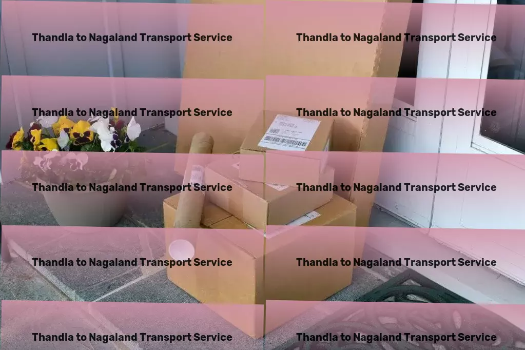 Thandla to Nagaland Transport Simplify your transport worries with our reliable solutions! - Specialized freight operations