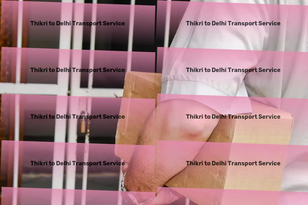 Thikri to Delhi Transport Package shipping services