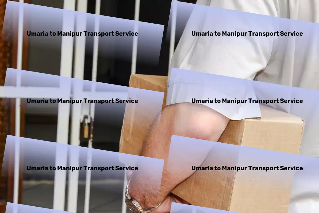 Umaria to Manipur Transport Express parcel delivery