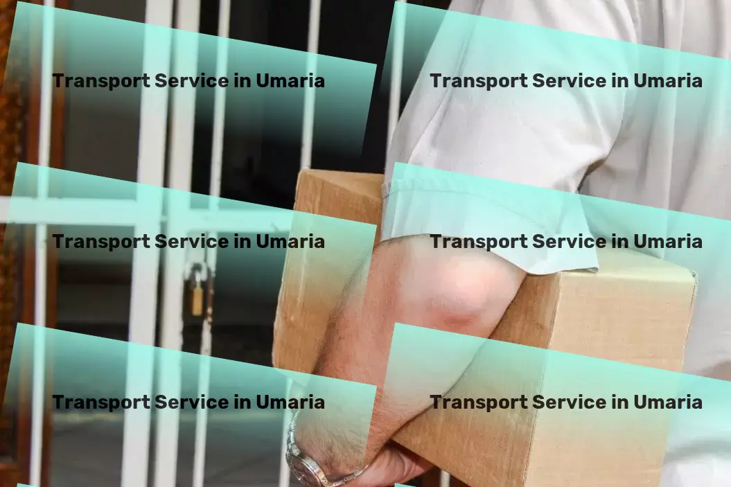 Courier And Parcel in Umaria, Madhya Pradesh (MP) From concept to execution: Tech solutions that deliver! - Global freight services