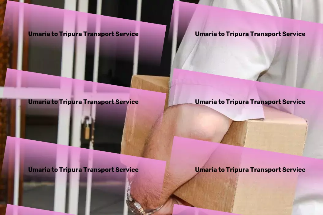 Umaria to Tripura Transport Tailored services for seamless logistics operations in India！ - End-to-end cargo solutions