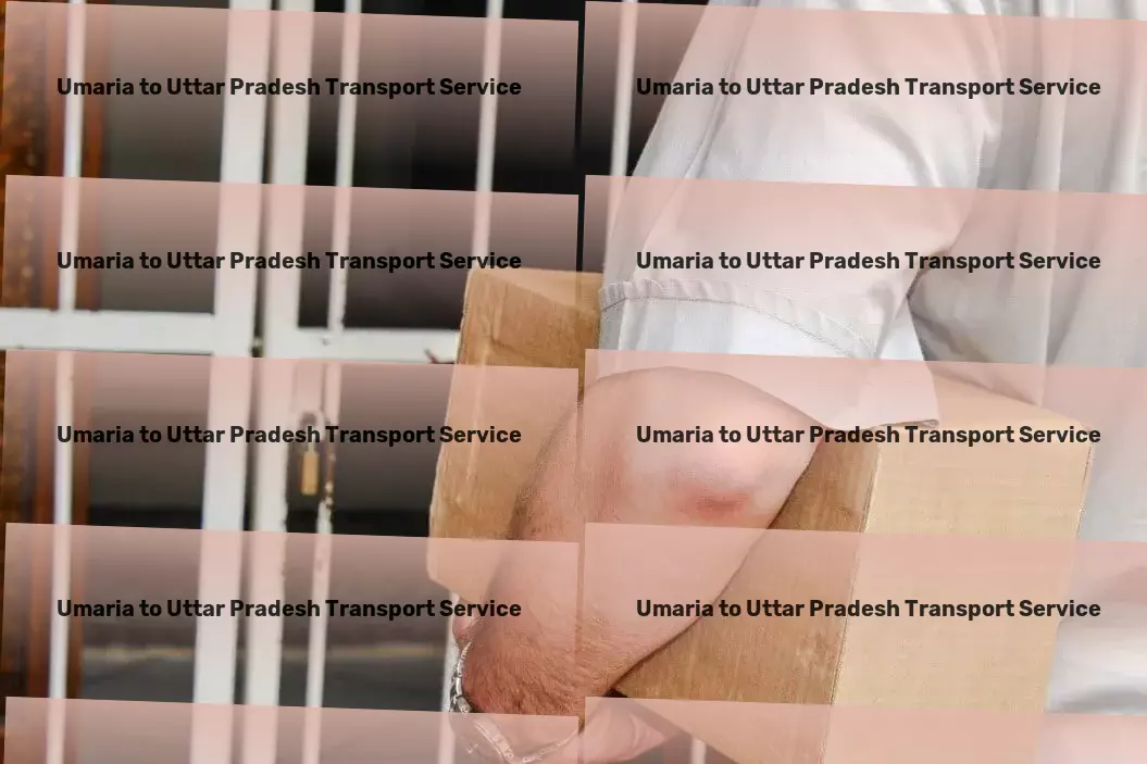 Umaria to Uttar Pradesh Transport Inter-modal freight services