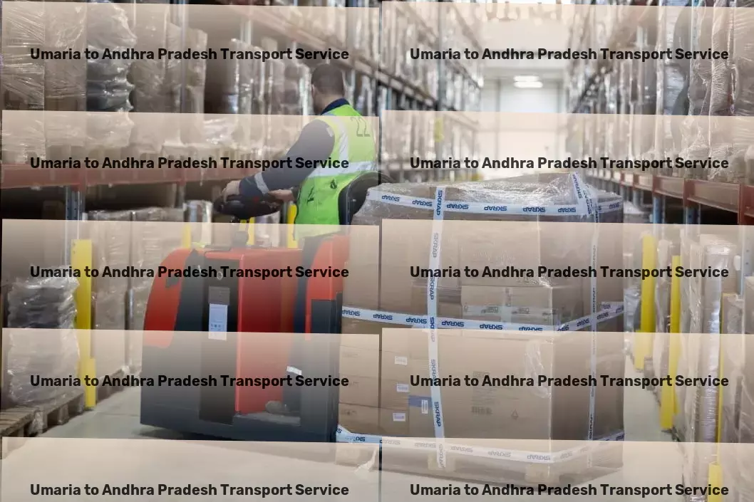 Umaria to Andhra Pradesh Transport Achieving peak performance in logistics services! - Multi-city goods shipment