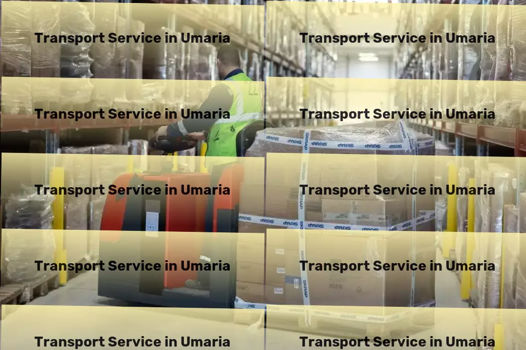 Courier And Parcel in Umaria, Madhya Pradesh (MP) A new era of streamlined shipping and logistics in India begins here. - Long-haul freight services