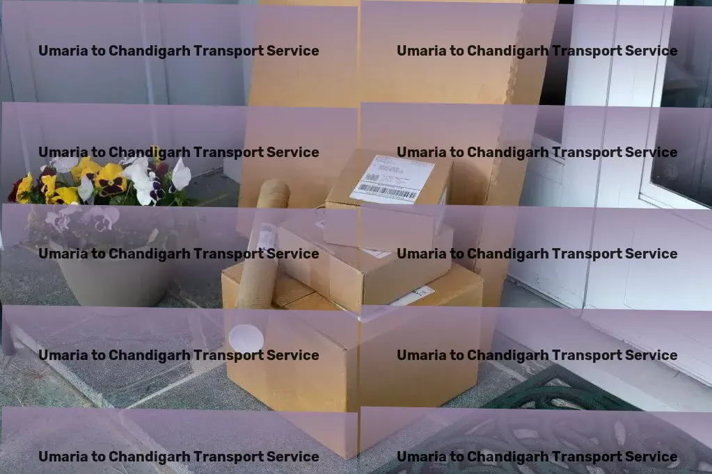 Umaria to Chandigarh Transport Maximize your move with our nationwide transport expertise! - Transport compliance services