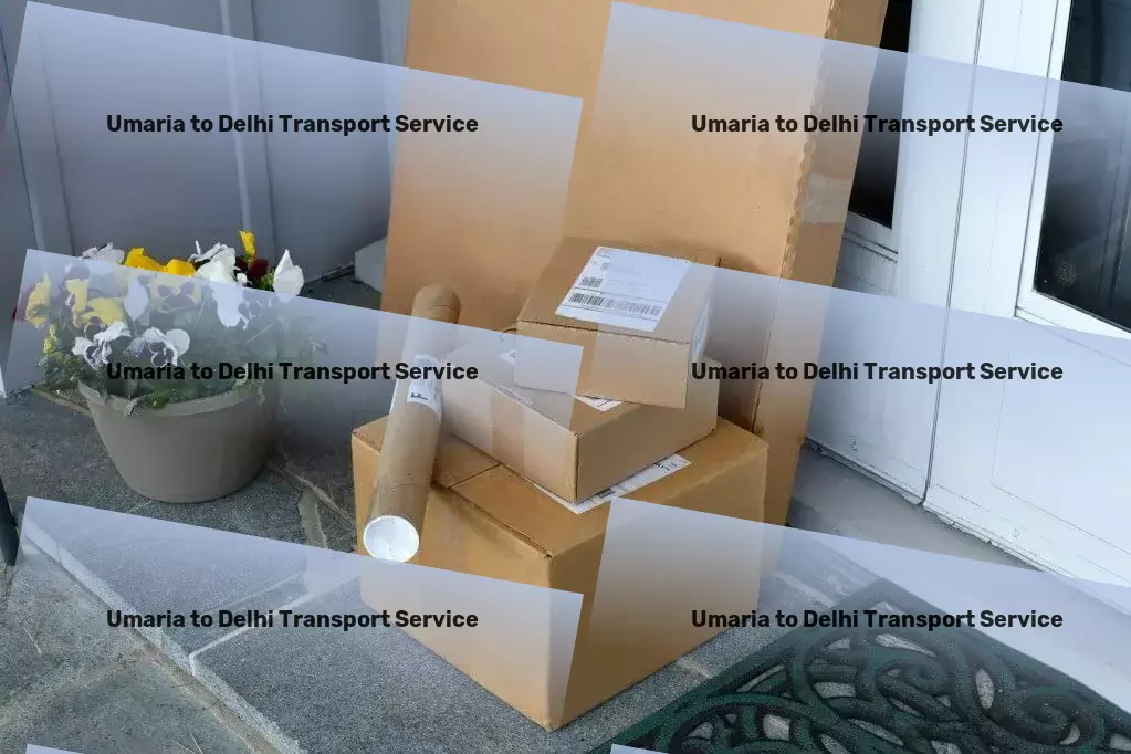 Umaria to Delhi Transport National freight services