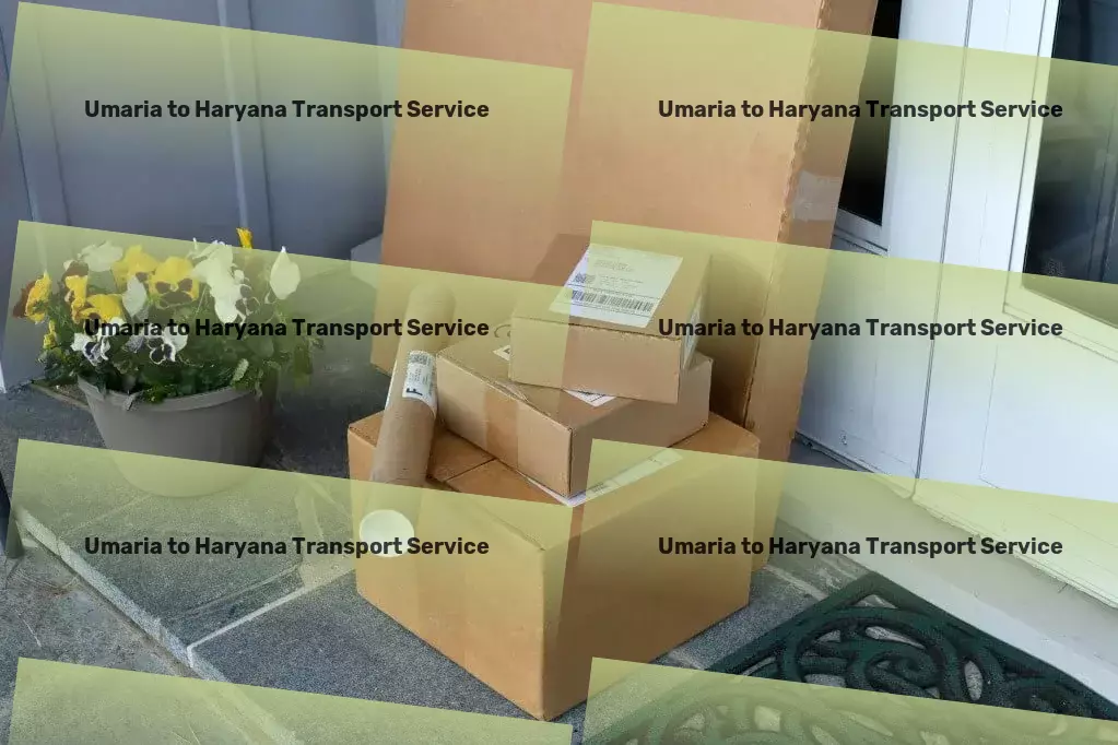 Umaria to Haryana Transport A trustworthy navigator for your logistics journey in India！ - Full truckload freight services