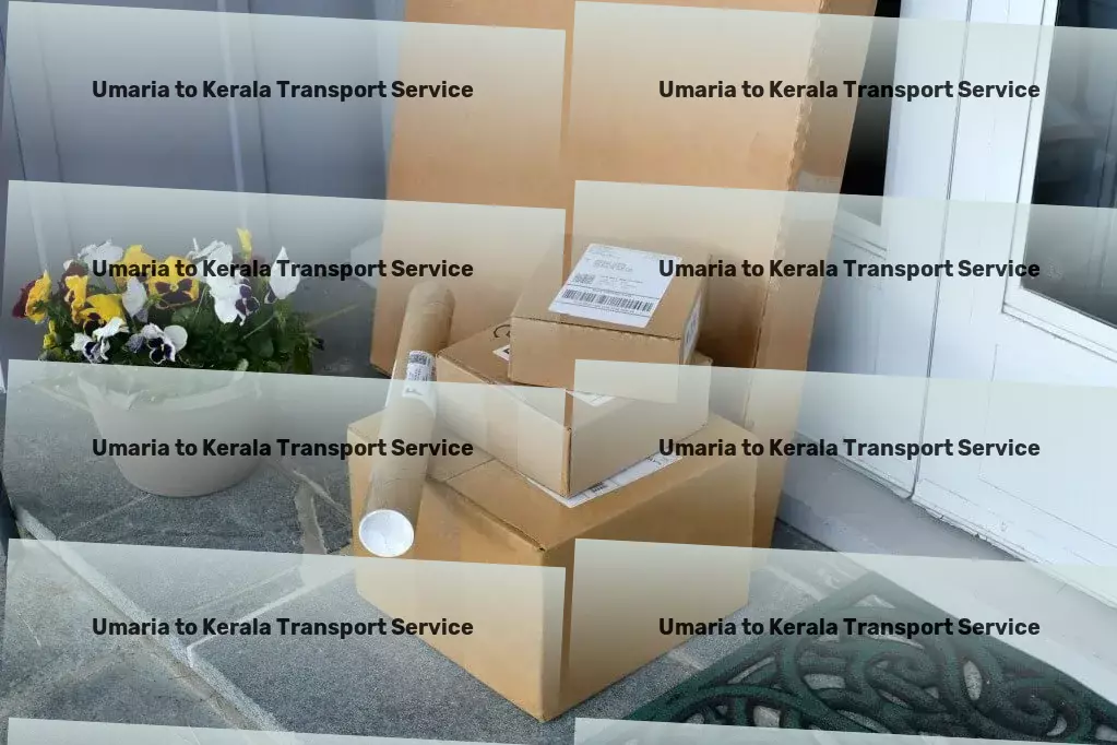 Umaria to Kerala Transport Efficient road transport