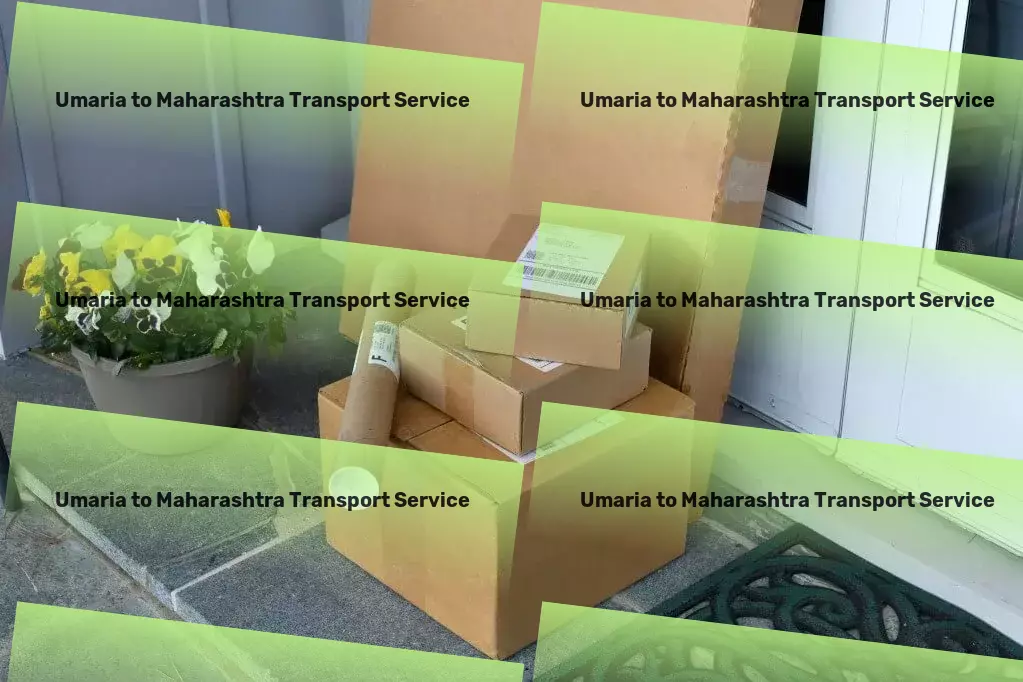 Umaria to Maharashtra Transport National goods forwarding