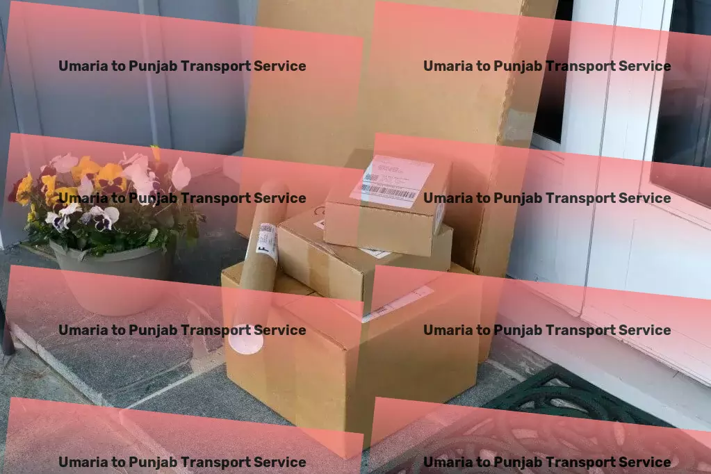 Umaria to Punjab Transport Crafting the future of efficient cargo movement! - Transporter service network