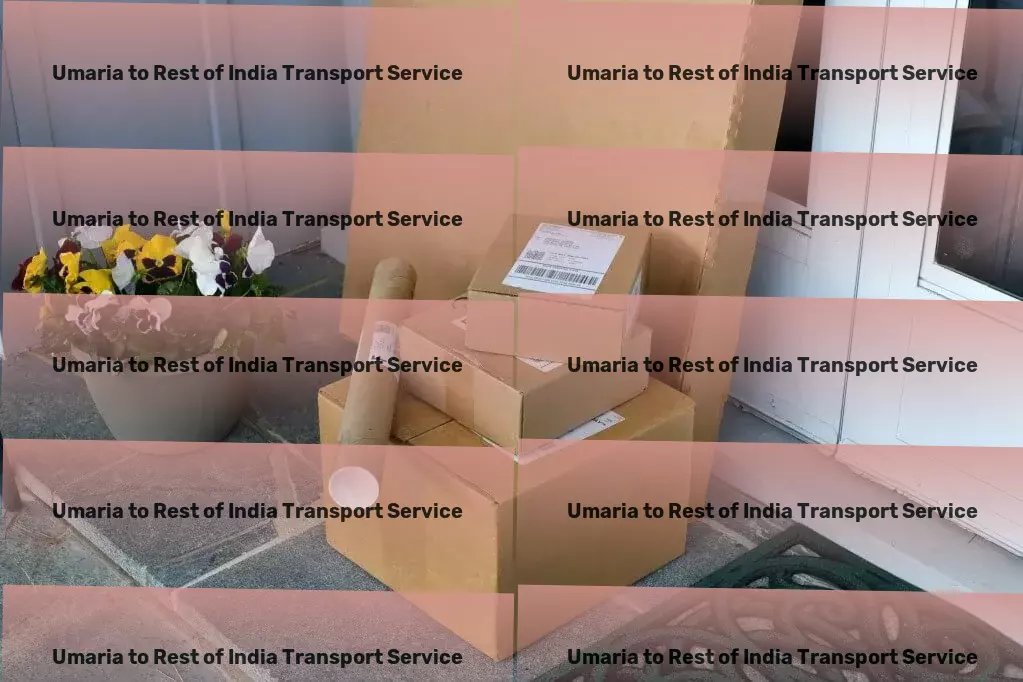 Umaria to Rest Of India Transport Tailored services for seamless logistics operations in India！ - Efficient package moving