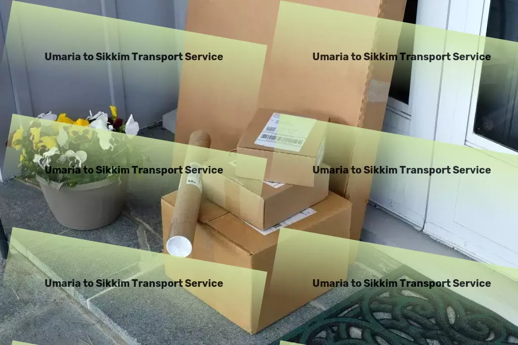 Umaria to Sikkim Transport Professional package services