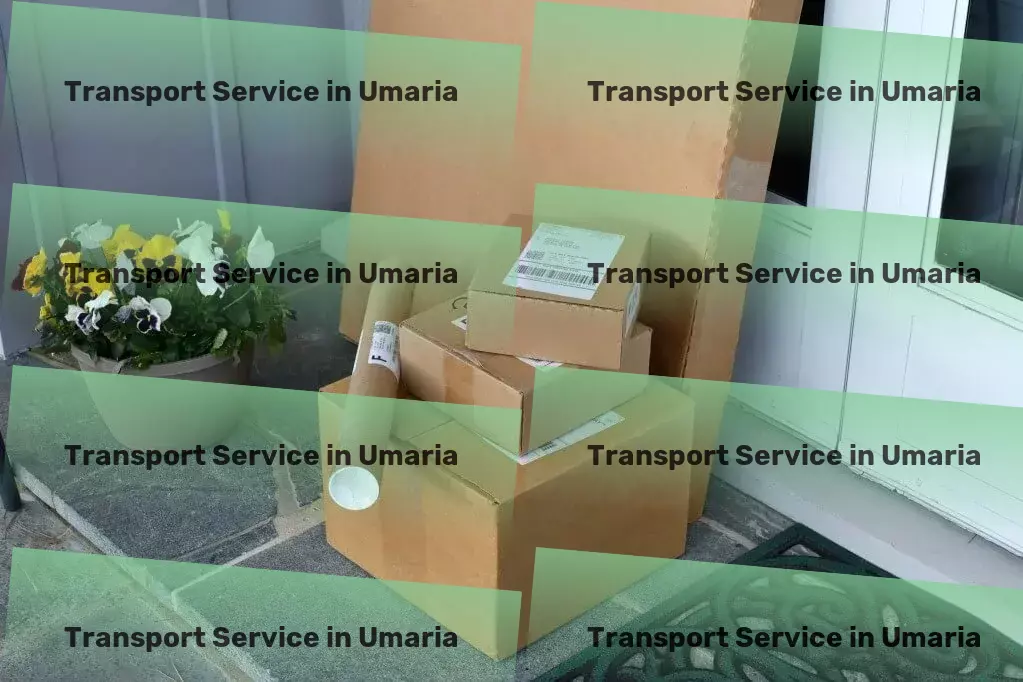 Courier And Parcel in Umaria, Madhya Pradesh (MP) Rapid road logistics