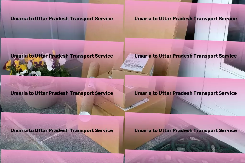 Umaria to Uttar Pradesh Transport Heavy cargo transport solutions