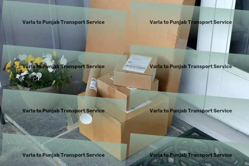 Varla to Punjab Transport Express household shipment